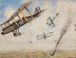 WWI Dogfight, 1918